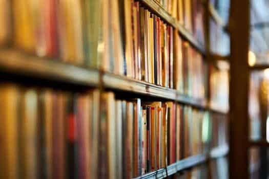 Un título universitario para mejorar la convivencia y el bienestar social